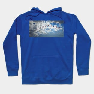 paragliding Hoodie